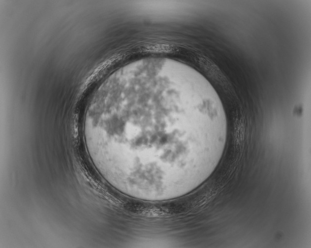 X0000115590731200912011502