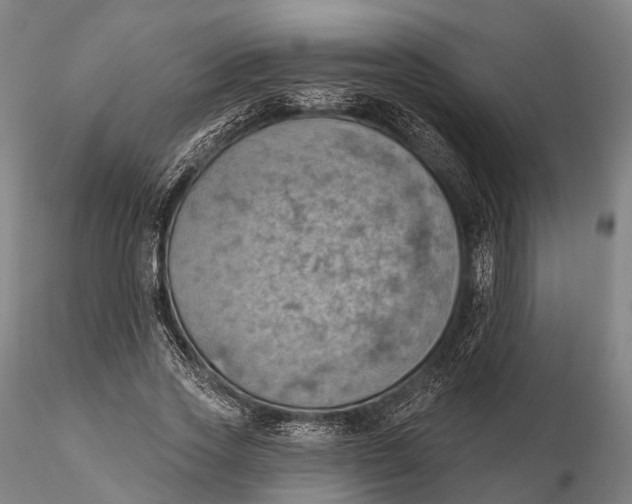 X0000115590733200912011503