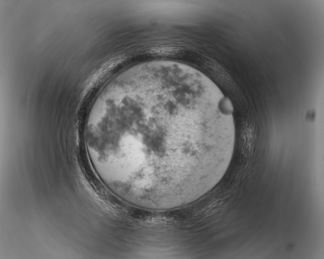 X0000115590734200912011503