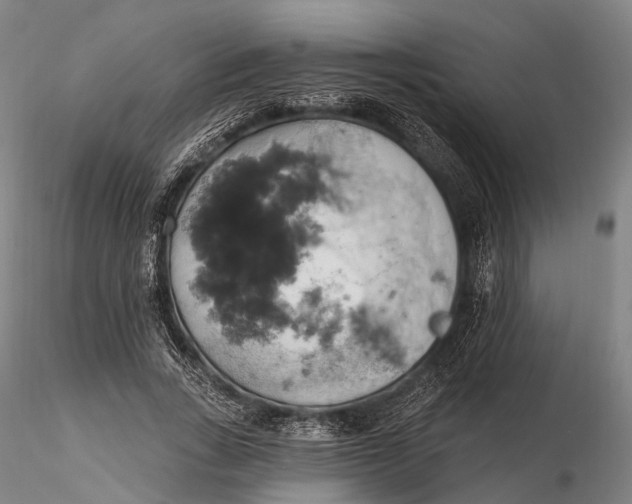 X0000115590735200912011503