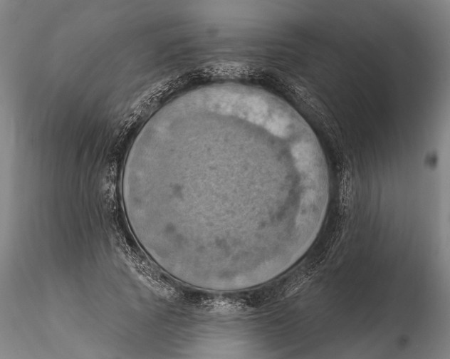 X0000115590737200912011503