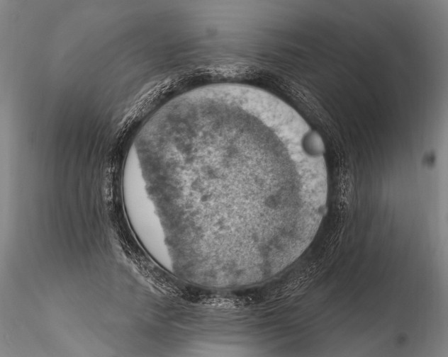 X0000115590738200912011503