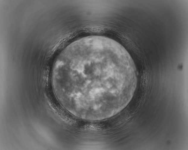 X0000115590739200912011503