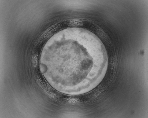 X0000115590741200912011503