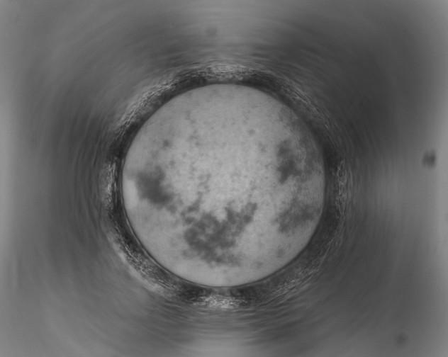X0000115590742200912011503