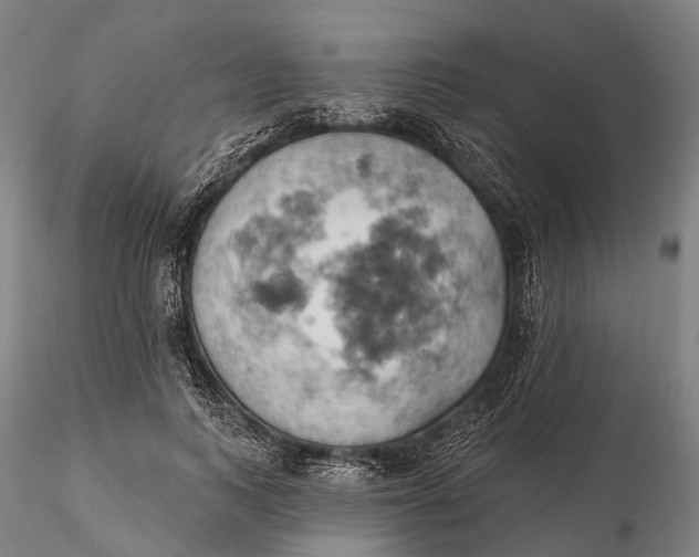 X0000115590743200912011503