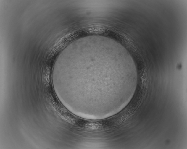 X0000115590745200912011503