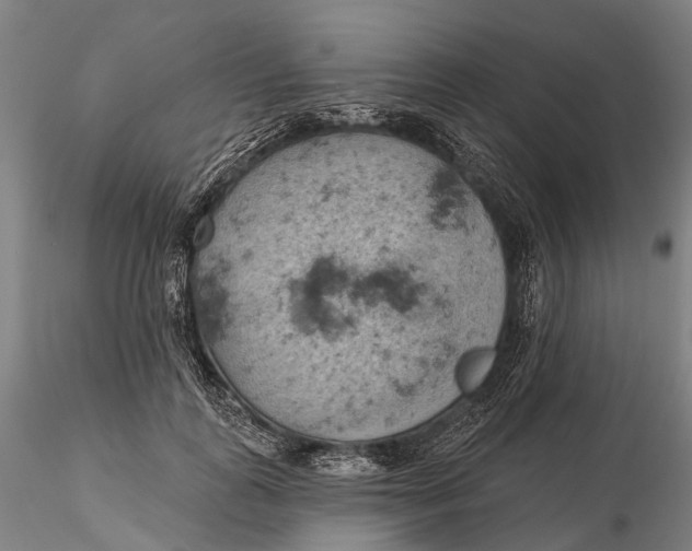 X0000115590747200912011503