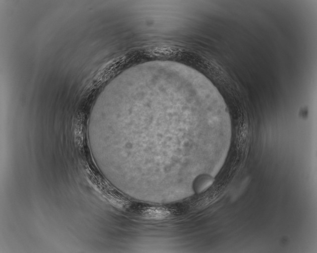 X0000115590749200912011503