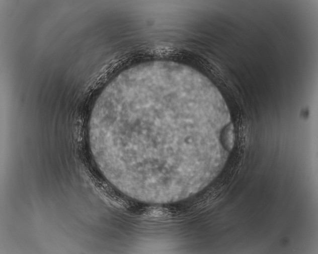 X0000115590750200912011503