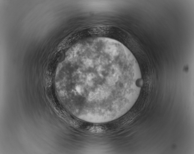 X0000115590751200912011503