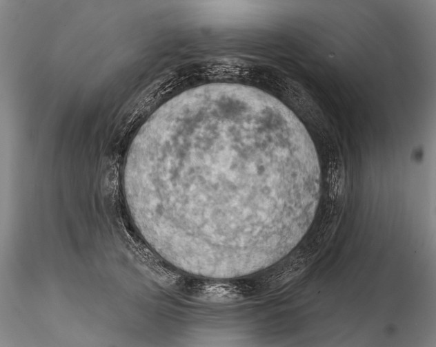 X0000115590753200912011503