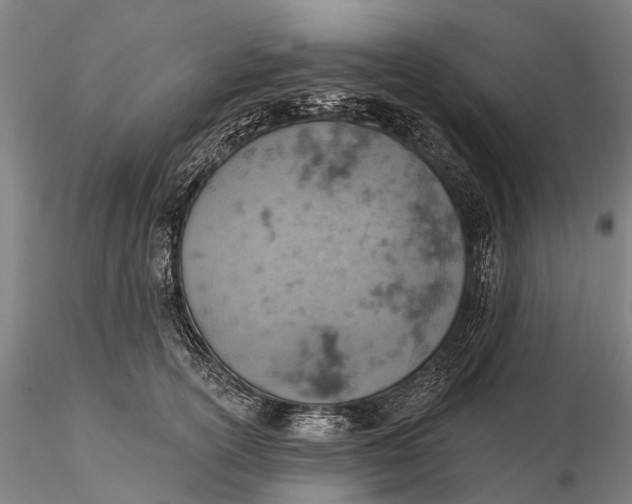 X0000115590754200912011503
