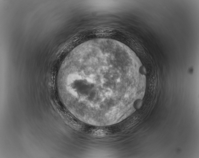 X0000115590755200912011503