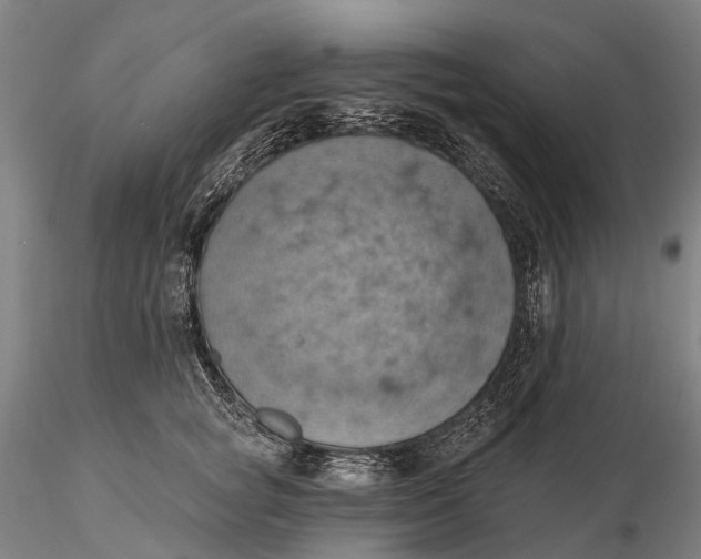 X0000115590757200912011503