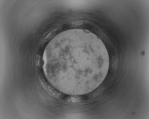 X0000115590758200912011503