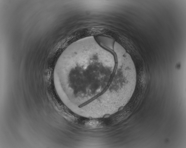 X0000115590759200912011503