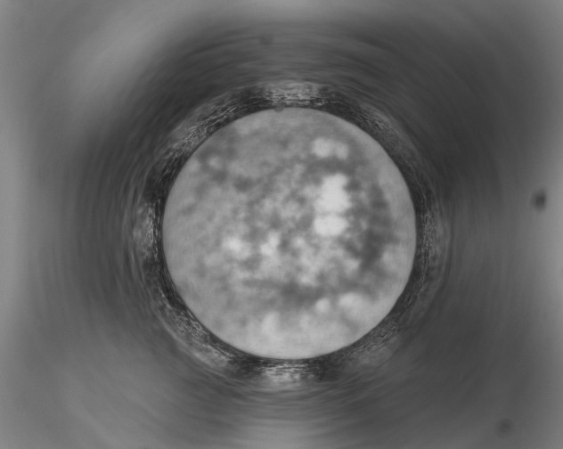 X0000115590761200912011503