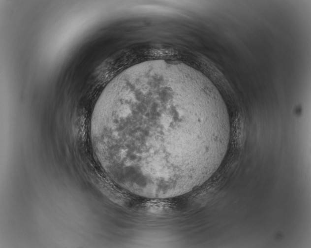 X0000115590762200912011503