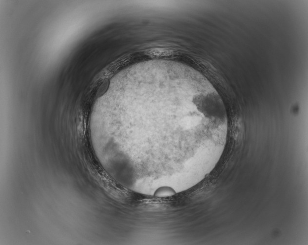 X0000115590763200912011503