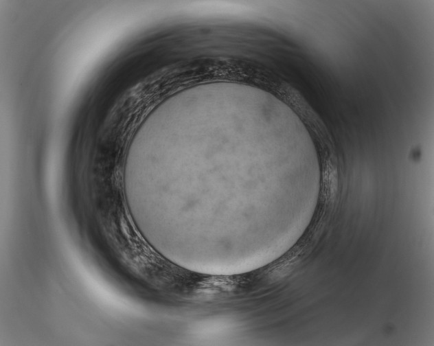 X0000115590765200912011503