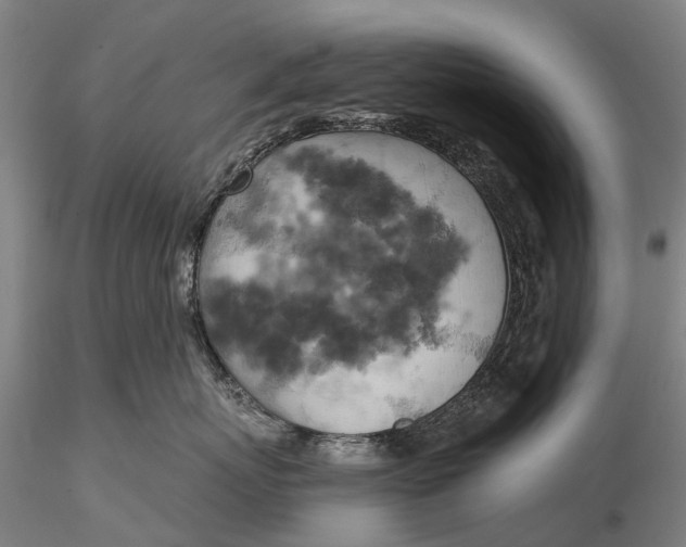 X0000115590767200912011503