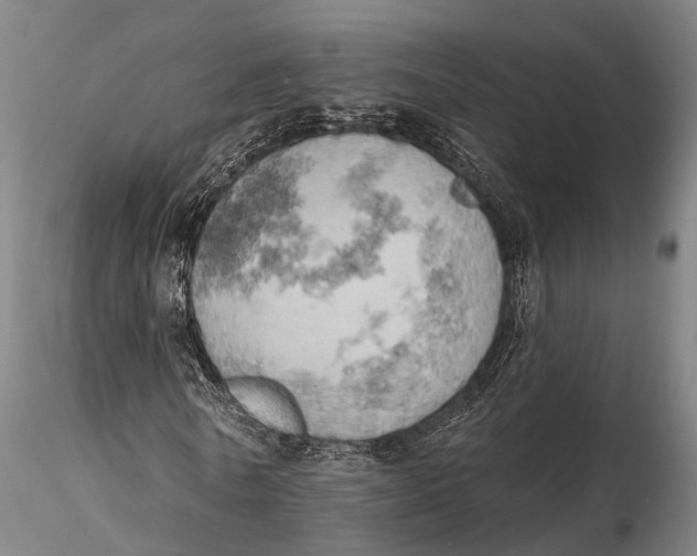 X0000115590770200912011502