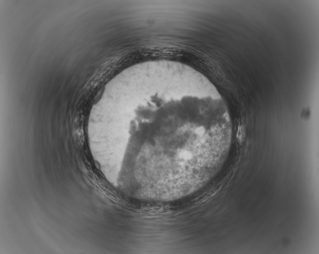 X0000115590771200912011502