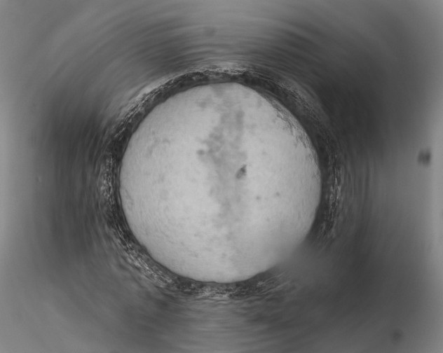X0000115590773200912011502