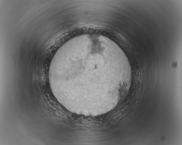 X0000115590774200912011502