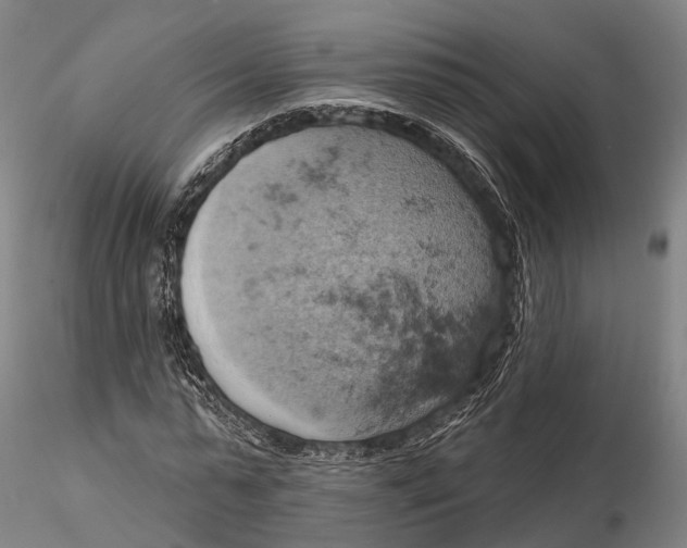 X0000115590775200912011502