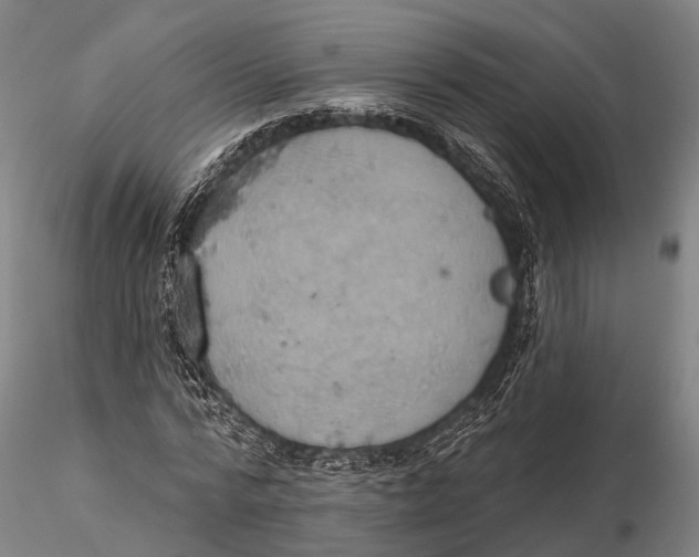 X0000115590776200912011502