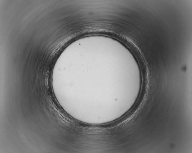 X0000115590777200912011502