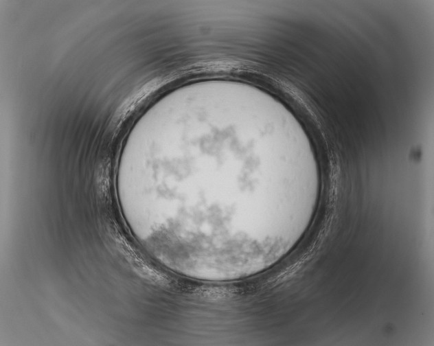 X0000115590778200912011502