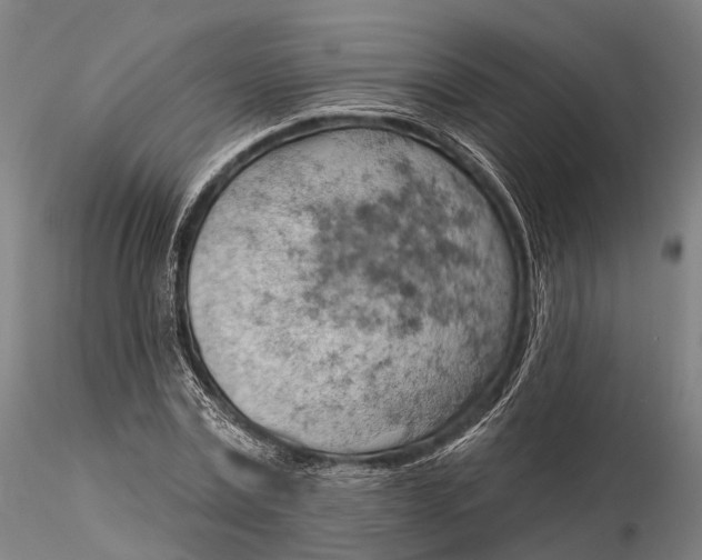 X0000115590779200912011502