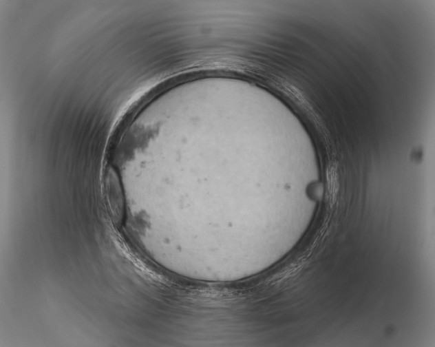X0000115590780200912011502