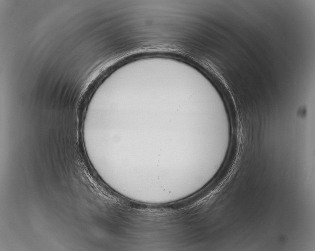 X0000115590781200912011502
