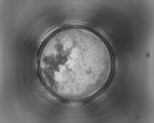 X0000115590782200912011502