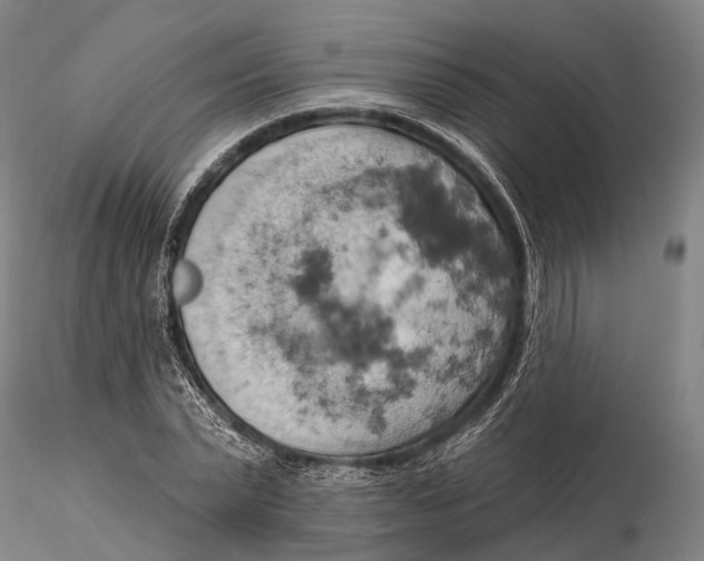 X0000115590783200912011502