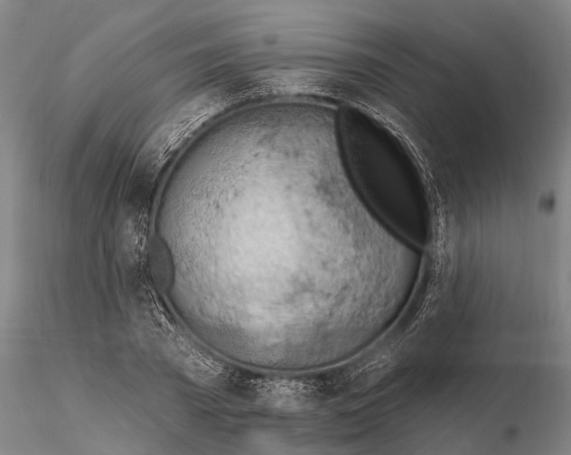 X0000115590785200912011502