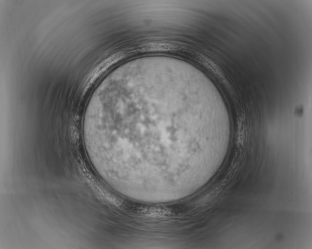 X0000115590786200912011502