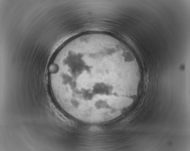X0000115590787200912011502
