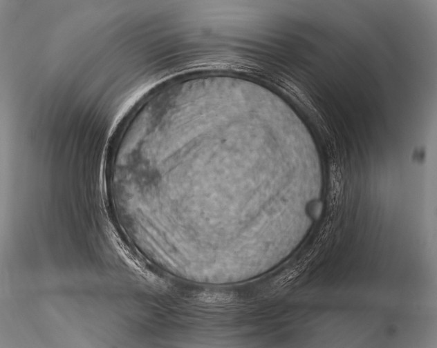X0000115590788200912011502