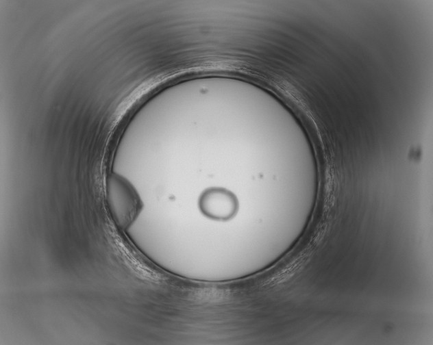 X0000115590789200912011502