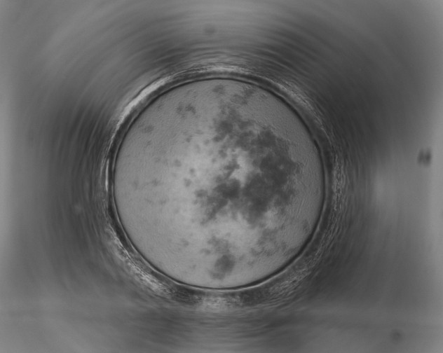 X0000115590790200912011502