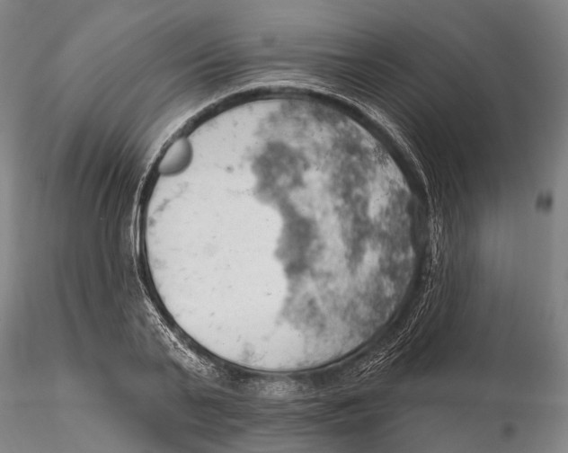 X0000115590791200912011502