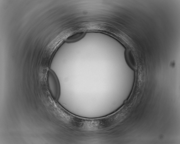 X0000115590793200912011502