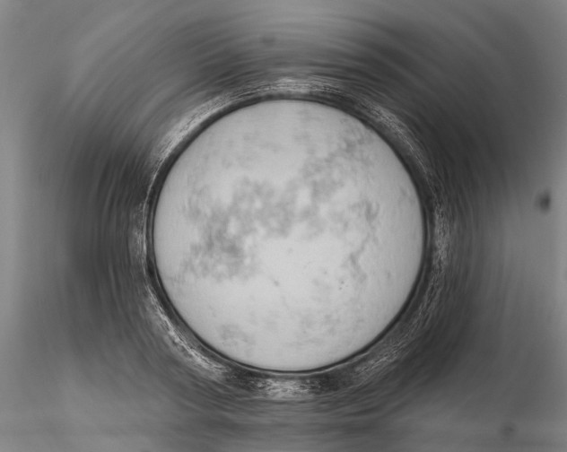 X0000115590794200912011502