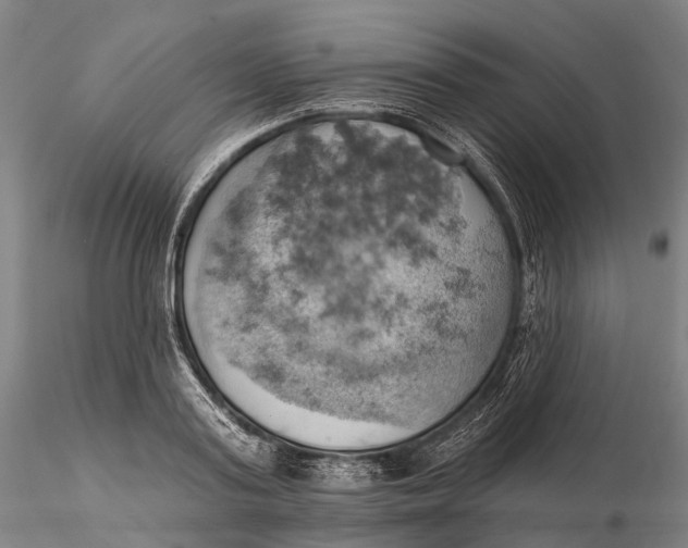 X0000115590795200912011502