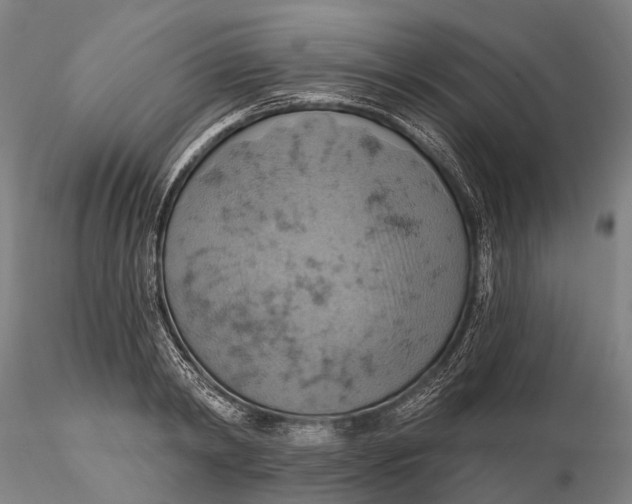 X0000115590798200912011502